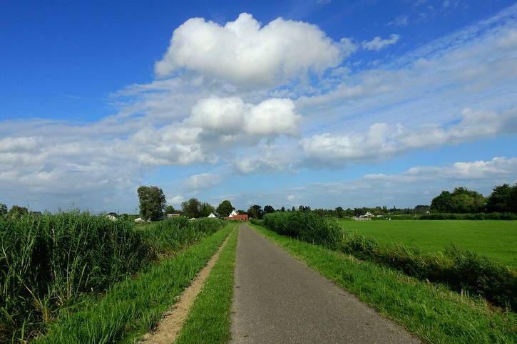 C:\fakepath\dutch-countryside-5404497_960_720.jpg