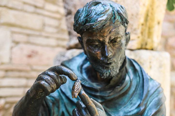 C:\fakepath\st-francis-of-assisi-5295249_1280.jpg